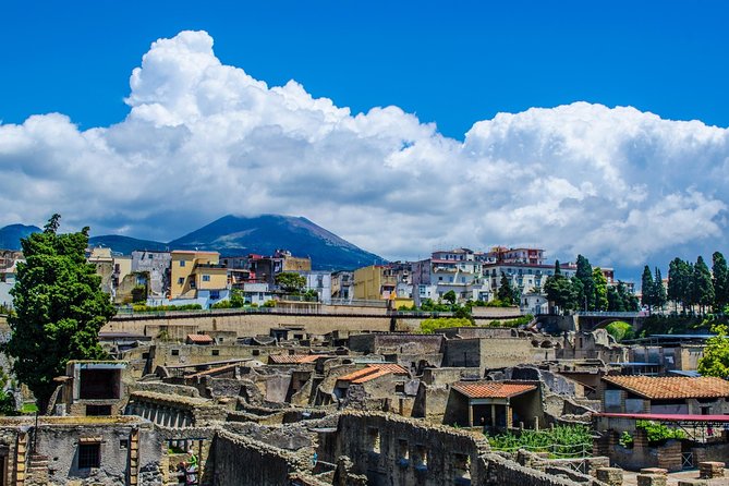 Private Herculaneum Guided Tour from Sorrento - Visiting the College of the Augustales