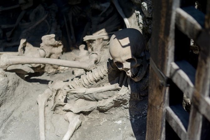 Private Herculaneum Guided Tour from Sorrento - The House of the Skeleton and Its Historical Significance