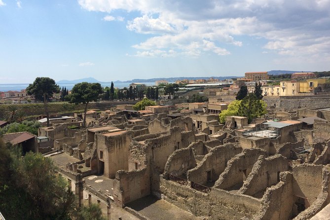 Private Herculaneum Guided Tour with an Archeologist - Key Points