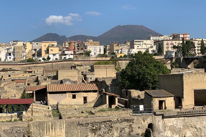 Private Herculaneum Guided Tour with an Archeologist - Visiting the Well-Preserved Ruins: Homes, Shops, and Baths