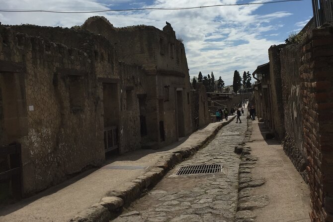 Private Herculaneum Tour for Kids and Families - Booking, Cancellation, and Group Size