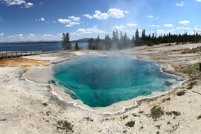 Private Hidden Gems of Yellowstone! Lunch w/ family friendly hikes included! - Wildlife Encounters in Quiet, Uncrowded Areas