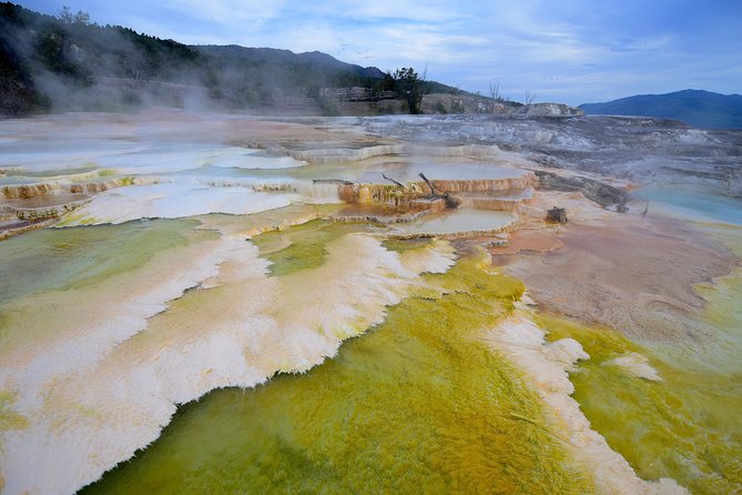 Private Hidden Gems of Yellowstone! Lunch w/ family friendly hikes included! - Family-Friendly Hikes Designed for All Abilities