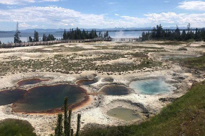 Private Hidden Gems of Yellowstone! Lunch w/ family friendly hikes included! - Picnic Lunch Featuring Local, Organic Ingredients