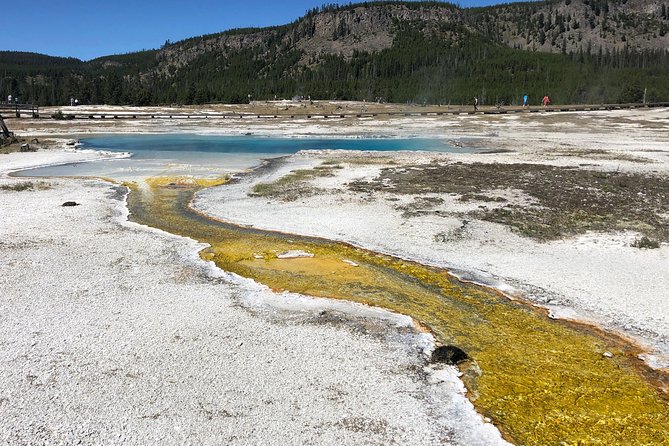 Private Hidden Gems of Yellowstone! Lunch w/ family friendly hikes included! - Flexibility and Customization of the Itinerary