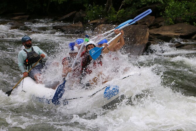 Private/High Adventure Whitewater Rafting Tour With Shore Snack - Expert Guides Elevate the Whitewater Experience