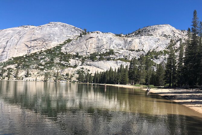 Private High Country Fly Fishing Adventure - Expert Guides and Support