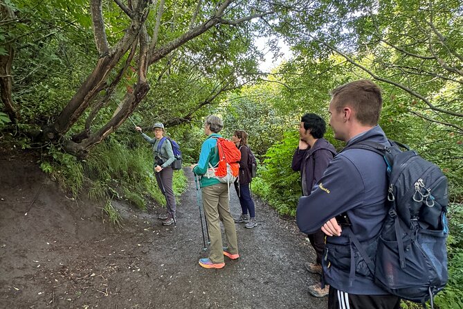 Private Hike and History Trip in Palmer, Alaska - Key Points