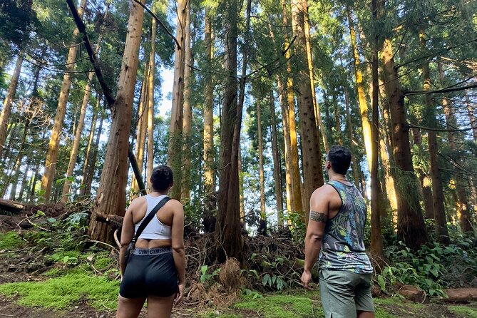 Private Hike - Discover São Miguels Craters, Lakes & Waterfalls - Discovering Nordeste’s Waterfalls and Moinhos