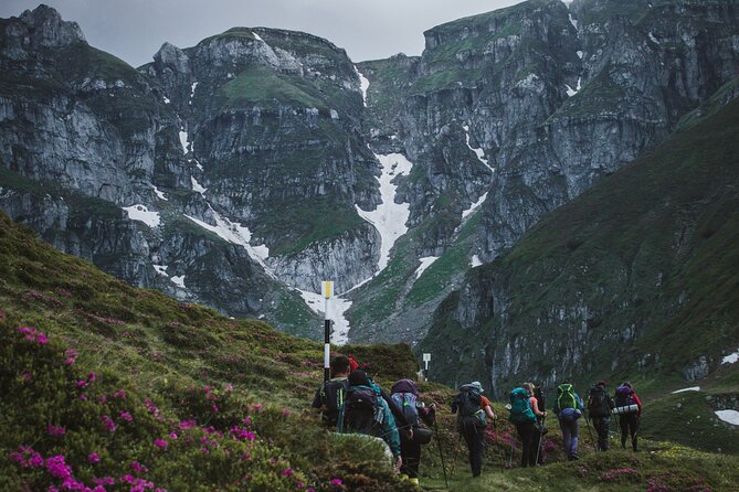 Private Hiking to Bucegi Natural Park from Brasov - Explore the Beauty of Bucegi Natural Park with a Private Guide
