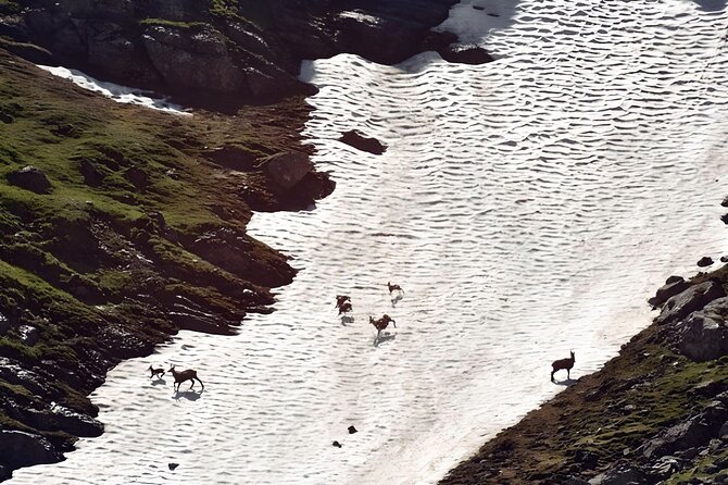 Private Hiking to Bucegi Natural Park from Brasov - Flora, Fauna, and Nature Spotting Along the Trails