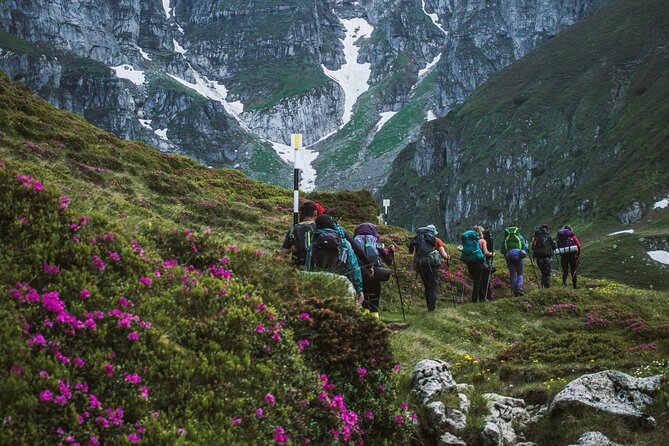 Private Hiking to Bucegi Natural Park from Brasov - Descending from the Mountain Top and Returning to Rasnov