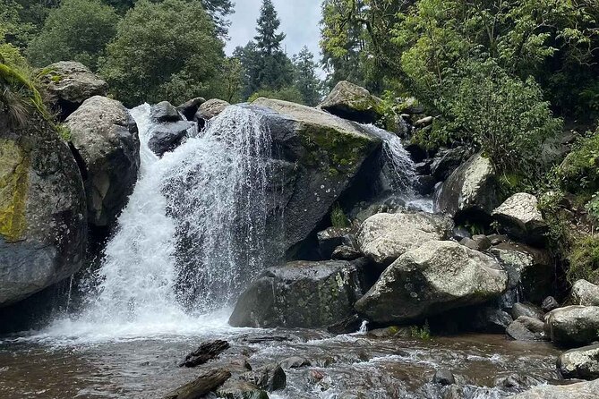 Private Hiking to Chipinique from Monterrey - Discover the Private Hiking Experience to Chipinique from Monterrey