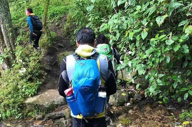 Private Hiking to Chipinique from Monterrey - What the Tour Includes for a Complete Day Outdoors