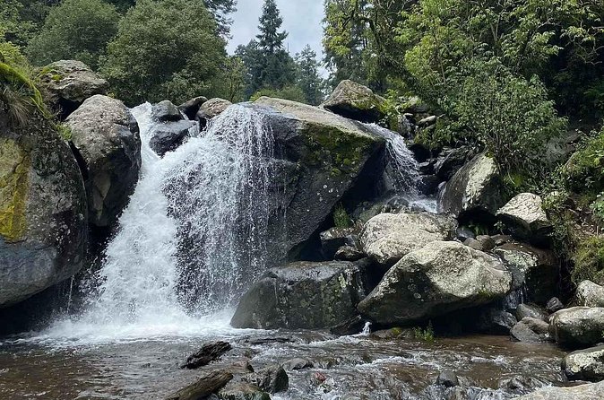 Private Hiking to Chipinique from Monterrey - Practical Logistics and Meeting Arrangements