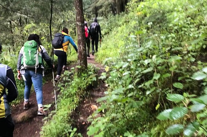 Private Hiking to Chipinique from Monterrey - Limitations and Considerations