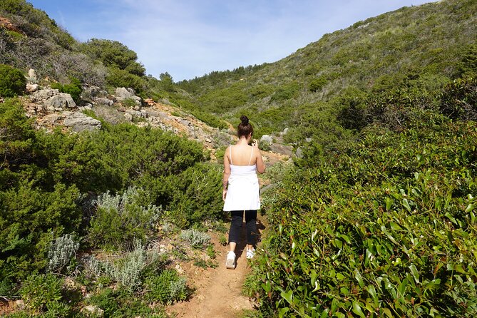 Private Hiking Tour along the last wild side of the south coast - Transport and Convenience for a Seamless Experience