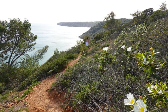 Private Hiking Tour along the last wild side of the south coast - The Guide and Environmental Focus