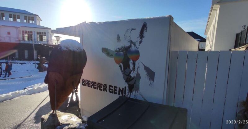 Private hiking tour Bergen mountains like a local - Bergen’s Mountains Offer a True Local Perspective