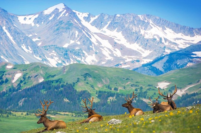 Private Hiking Tour Experience at Rocky Mountain National Park - Who Will Benefit from This Private Hiking Tour?