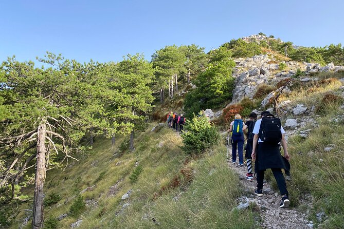 Private Hiking Tour in Çika Mountain - The Trail to Maja e Cikes and the Mountain Top