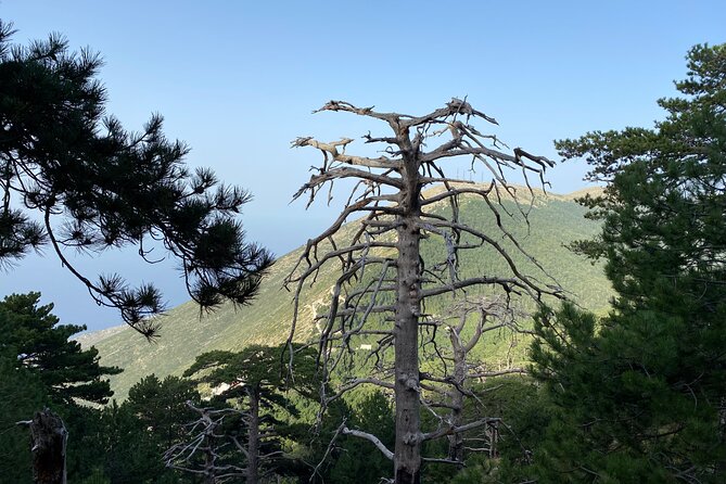 Private Hiking Tour in Çika Mountain - Historical Bunkers and the Mountains Past