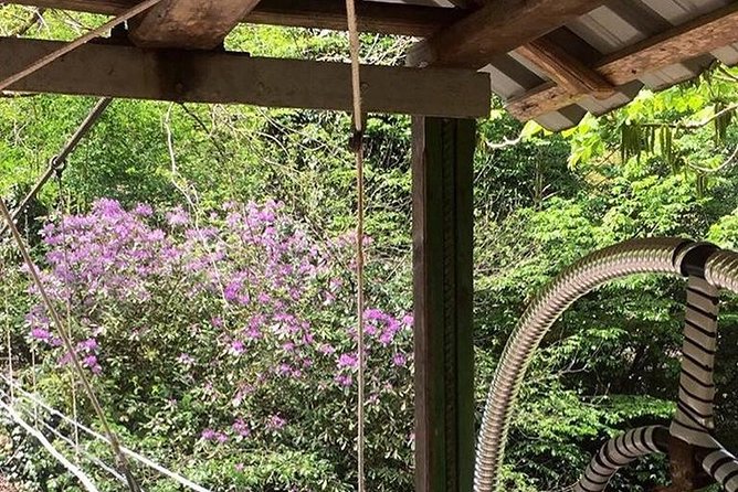 Private Hiking Tour to Mtirala National Park from Batumi - Scenic Stops: Waterfalls, Lakes, and Swim Spots