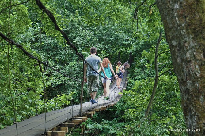 Private Hiking Tour to Mtirala National Park from Batumi - Sampling Farm-Fresh Honey and Nature Snaps