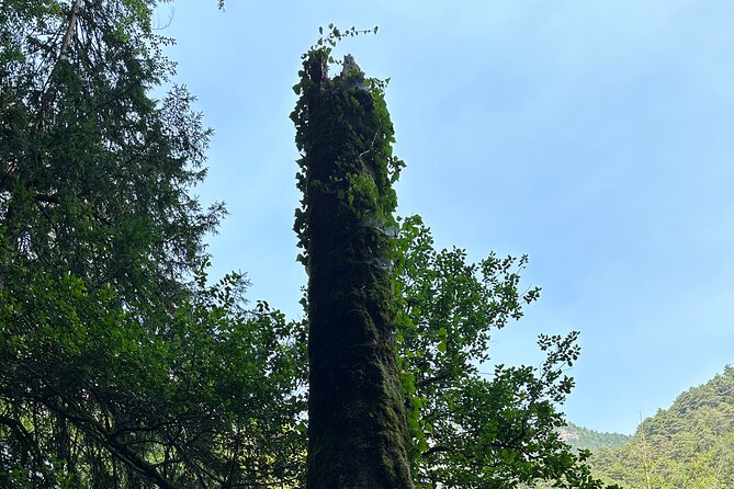 Private hiking tour to Olympus mountain - Scenic Return to Thessaloniki and Cultural Stop at Dion