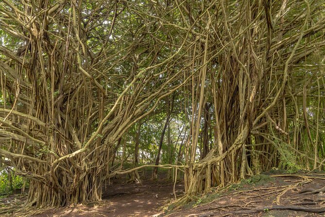 Private Hilo Shore Excursion - Volcanoes, Waterfalls, & Beaches - Additional Stops Within Hawaii Volcanoes National Park