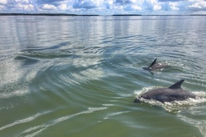 Private Hilton Head Dolphin Tour - Scenic Waters and Landmark Passes: Broad Creek and Calibogue Sound