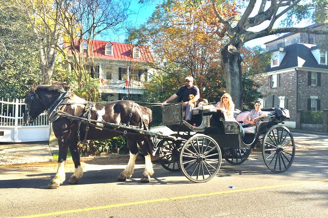 Private Historic Horse & Carriage Tour of Charleston - Starting Point at Charleston City Market