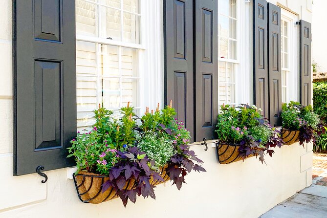 Private Historic Horse & Carriage Tour of Charleston - Value and Overall Impression