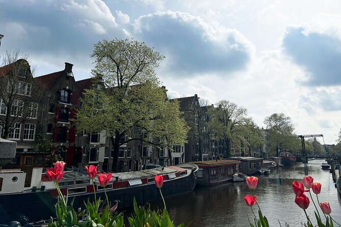 Private Historical Highlights Walking Tour, local Dutch guide - The Canal Ring (Grachtengordel): Amsterdam’s Golden Age Gem