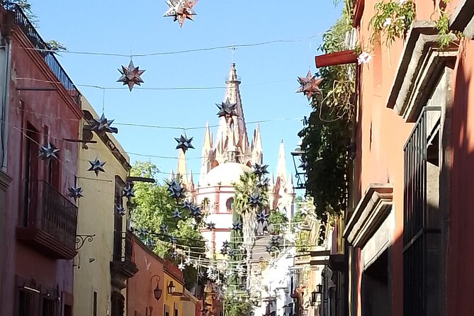 Private Historical Tour in San Miguel de Allende and Guanajuato - Who Will Enjoy This Tour Most?