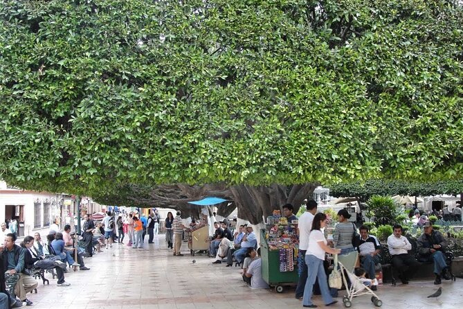 Private History & City Walking Tour of Guanajuato - Accessing the Regional Museum at Alhóndiga de Granaditas