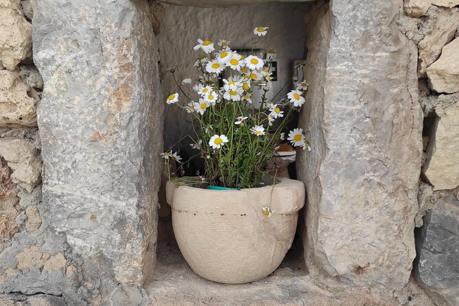 Private History, Sights, and Food Walking Tour of Chania City - Panoramic Views from the Elevated Spot