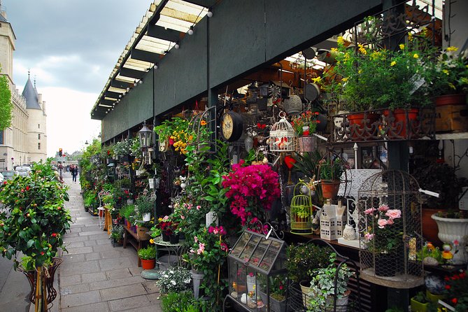Private History Walking Tour in Paris for Teens & Family - Crossing into the Heart of Medieval Paris: Île de la Cité