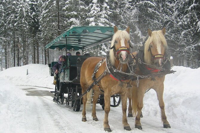 Private Horse-Drawn Sleigh Ride from Salzburg - The Experience of Weather and Snow Conditions