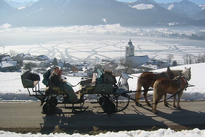 Private Horse-Drawn Sleigh Ride from Salzburg - Guide and Driver Profiles on This Tour