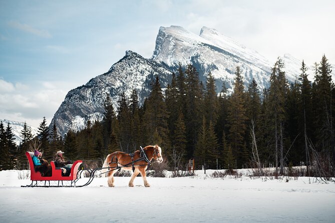 Private Horse-Drawn Sleigh Ride In Banff - Discover the Charm of a Private Horse-Drawn Sleigh Ride in Banff