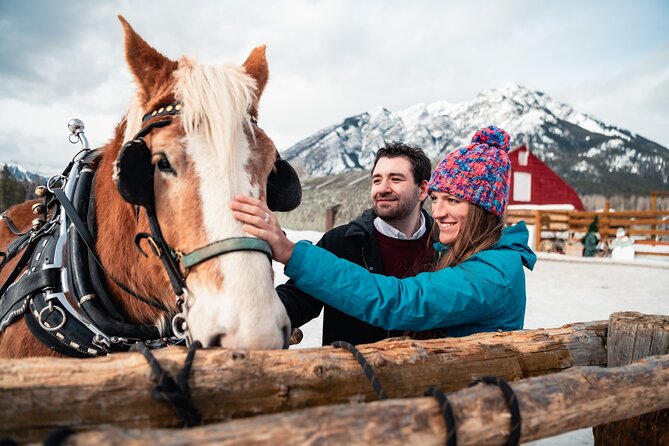 Private Horse-Drawn Sleigh Ride In Banff - Key Points