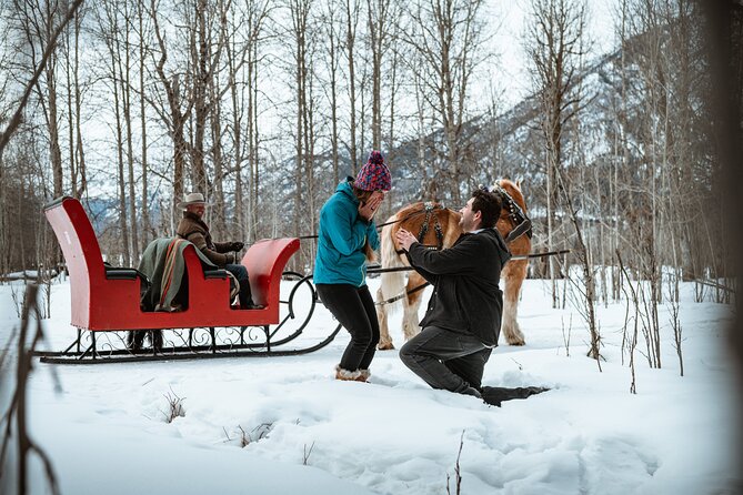 Private Horse-Drawn Sleigh Ride In Banff - Cozy Comforts: Blankets and Smores by the Fire