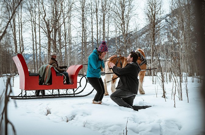 Private Horse-Drawn Sleigh Ride In Banff - Considerations from Past Reviews