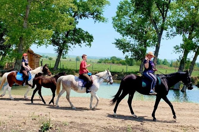 Private Horse Ridding tour - Meeting Point and Logistics for Easy Access