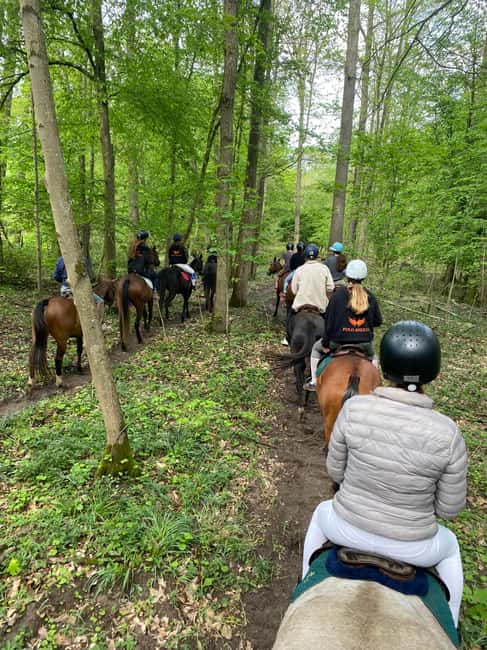 Private Horse Ride experience - Discover the Charm of a Private Horseback Ride Near Paris for All Skill Levels