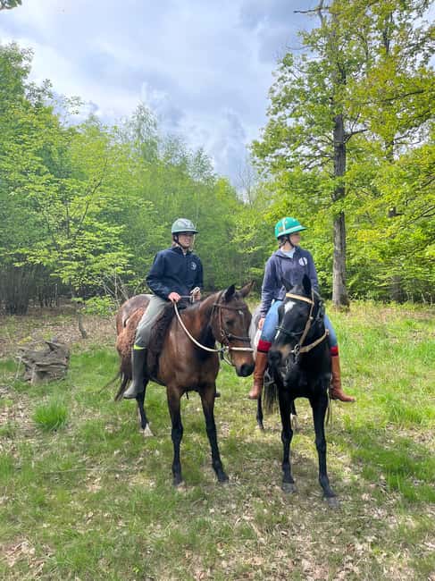 Private Horse Ride experience - Scenic Forest Riding Near Chantilly and Senlis