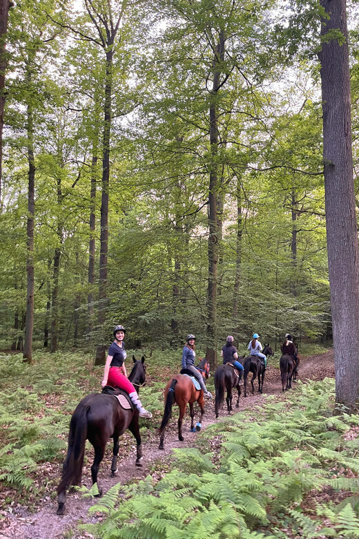 Private Horse Ride experience - Who Will Enjoy This Horseback Ride?