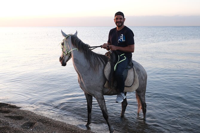 Private Horse Riding in Antalya - Scenic Forest Trails and Beach Rides in Antalya