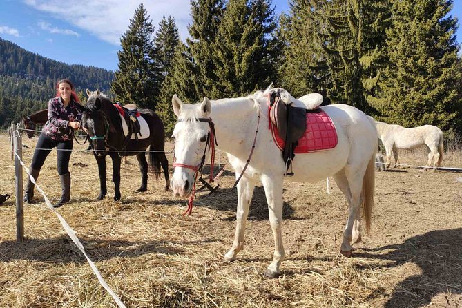 Private Horse Riding in Teteven Balkan from Sofia - Comfortable and Well-Equipped Horse Riding